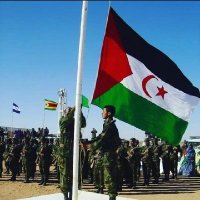 محمد الصحراوي🇪🇭 (@mohamed45151024) 's Twitter Profile Photo محمد الصحراوي🇪🇭 (@mohamed45151024) 's Twitter Profile Photo