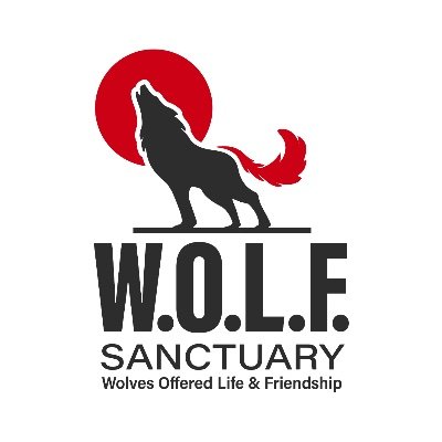 Improving the quality of life for wolves and wolf dogs.