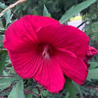 tired of this world (@nellybassily) 's Twitter Profile Photo