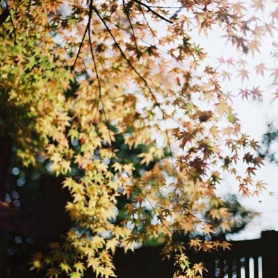 soupee46's profile picture. アラサー男性の裏アカ