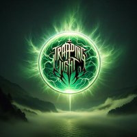 trappinglight (@trappinglight) 's Twitter Profile
