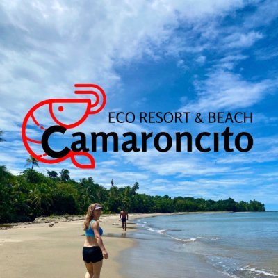 Discover rustic luxury at Camaroncito Beachfront Eco Resort. All-inclusive oasis with private cabanas on a secluded Panamanian Caribbean rainforest beach. 🌴🏖️