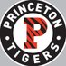 Princeton Women's Ice Hockey (@PWIH) Twitter profile photo