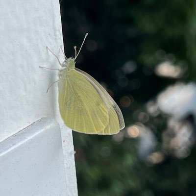 keira_mariee's profile picture. 