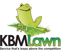 KBMLandscaping's profile picture. CT Landscaping company offering affordable landscape design and lawn care in Connecticut. Connecticut landscaping pro serving New Haven & Fairfield counties.