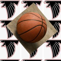 GCMS Girls Basketball(@GCMS_GirlsBball) 's Twitter Profile Photo