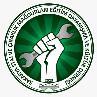Sakarya Staj ve çıraklık mağdurları derneği Profile