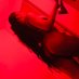 Candy Luxxx 🍫 (@candythecamgirl) Twitter profile photo Candy Luxxx 🍫 (@candythecamgirl) Twitter profile photo