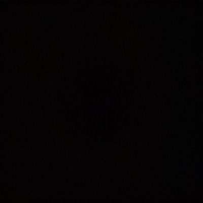 Black Judas KGM Profile