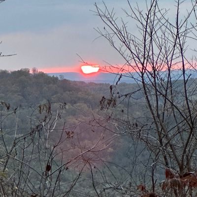 Rhalmagyi195186's profile picture. 