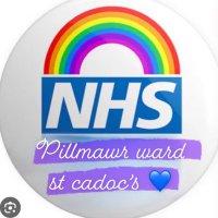 Pillmawr Ward(@PillmawrW) 's Twitter Profile Photo