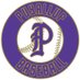 Puyallup Vikings Baseball (@VikingBaseball_) Twitter profile photo