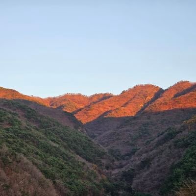 프로치임러 J입니다...

끝을 알면서 우린 왜...왜...자둘을 하는 걸까
그게~사랑인 거다