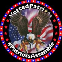 VettedPatriots(@MisfitPatriots1) 's Twitter Profileg