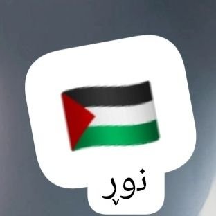 اللهم انصر اخواننا في غزة🤲🏻