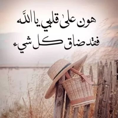 masoh71's profile picture. Engineer and real estate agent