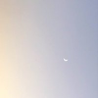 空木 洞 (@uro_utsugi) Twitter profile photo