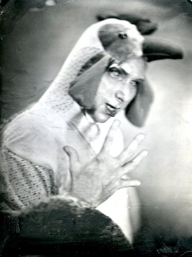 Shitmybradsayz's profile picture. 