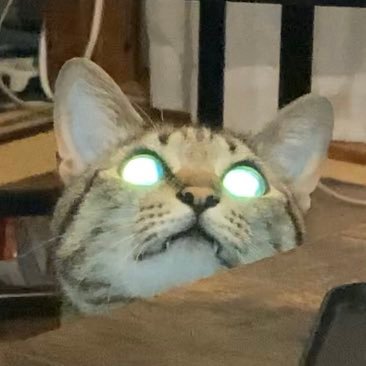 G凹。よろしくお願いいたします