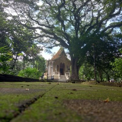 24681012nn's profile picture. เ..งี่..ย...น