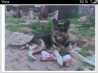 boerseunk9's profile picture. Trots Boere en Afrikaanse Waghond #TrotsAfrikaans