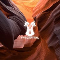 F41 Capital(@f41capital) 's Twitter Profile Photo