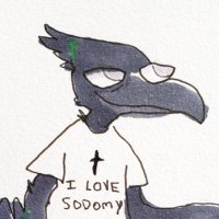 calla (@the_seldom_seen) 's Twitter Profile Photo