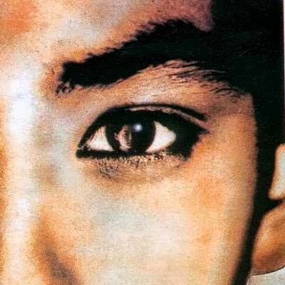 wm10240's profile picture. 