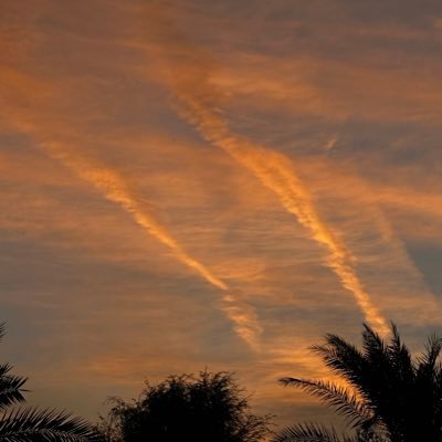 R_1_i_i's profile picture. 