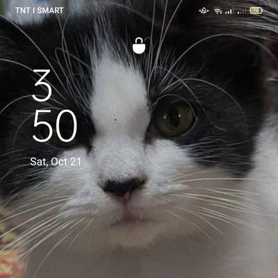 Neodsky's profile picture. 