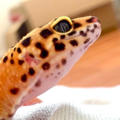 nasuka_1125's profile picture. それじゃあ いつまでたっても君は　できることしかできないままだね。