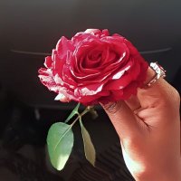 ♡ (@nissreena252) 's Twitter Profile Photo ♡ (@nissreena252) 's Twitter Profile Photo