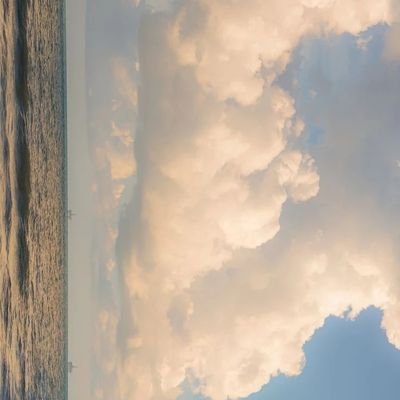 de1one01's profile picture. thing. It follows us wherever we go, always at our heels. It's not something we can touch or see, but we know it's there. It's a part of us, yet it's untouchabl