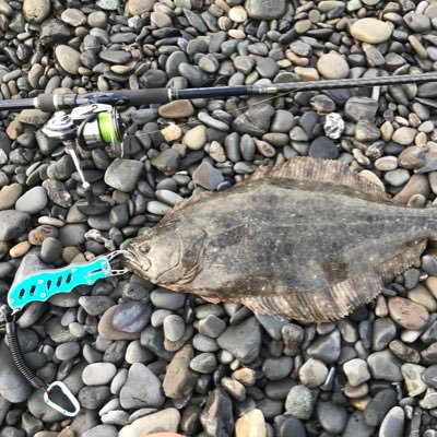 0t0u0r0i's profile picture. 自分の釣り記録垢です。