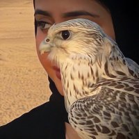 نـيار (@o__94e) 's Twitter Profile