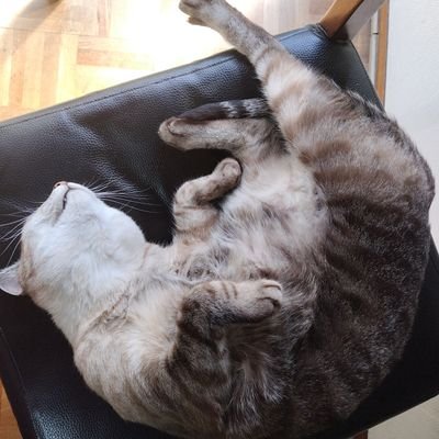 necomokune81355's profile picture. 大阪在住のハンドメイド作家です。

推し政党はれいわ新選組🐾

訳あって別居親。男尊女卑が大っ嫌いなフェミニストです✨

好きなドラマは「渡る世間は鬼ばかり」

https://t.co/hPttYYSn96