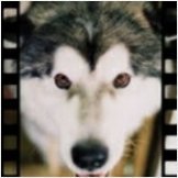 tochi1012's profile picture. AmazonPrimeVideoをBGVにゆるゆる過ごす日々。
お仕事：ITインフラエンジニア
関心事：SF、ミリタリー、筋トレ、自転車
PCゲーム：EASportsWRC、DirtRally2.0、World of Tanks、iRacing、ETS2、DeepRockGalactic、など。