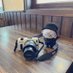 仲 (@thyone_nui) Twitter profile photo 仲 (@thyone_nui) Twitter profile photo