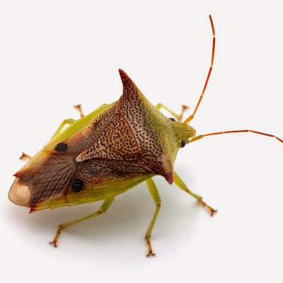 UwgNjv's profile picture. 