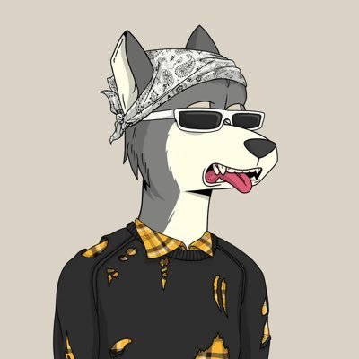 pandaj00's profile picture. 