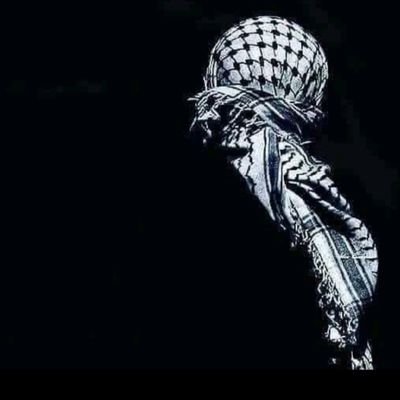 m2555633376456's profile picture. 