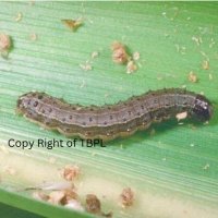 Tanzania Biotech Products Limited (TBPL) (@tbpl2015) 's Twitter Profile Photo Tanzania Biotech Products Limited (TBPL) (@tbpl2015) 's Twitter Profile Photo