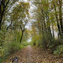 Sandra Wiens - @SandraW66929 - Twitter