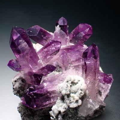 李者瑠璃村 Seiyuu - The Japan premiere of 