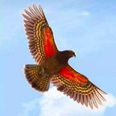 ALEXANDERR29825's profile picture. 