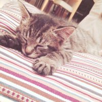 otta (@otta_hips) 's Twitter Profile Photo otta (@otta_hips) 's Twitter Profile Photo