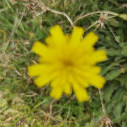 DonnaMayhew7's profile picture. 