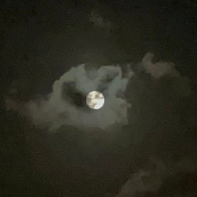 JohnSmi06061211's profile picture. My Muses: trans girls