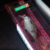 し壱 (@kpamjgjw3831) 's Twitter Profile