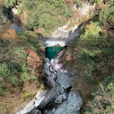 人生、気ままにやりたいことを 欲求にも素直に 日課に軽い筋トレ、休日はウォーキングしてます。🫧ねむねむの民🫧